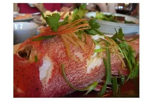 fisch