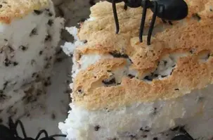 kuchen