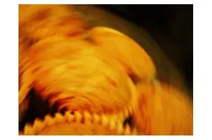 nachspeisen