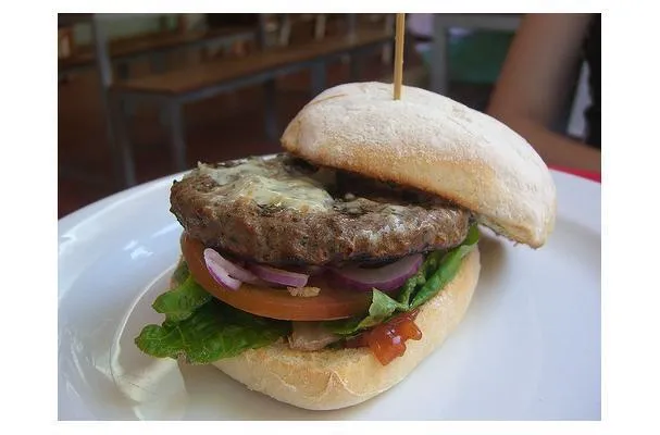 Gesunder Hamburger