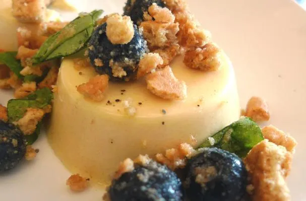 Honig-Panna-Cotta mit Blaubeeren und Graham-Crackern