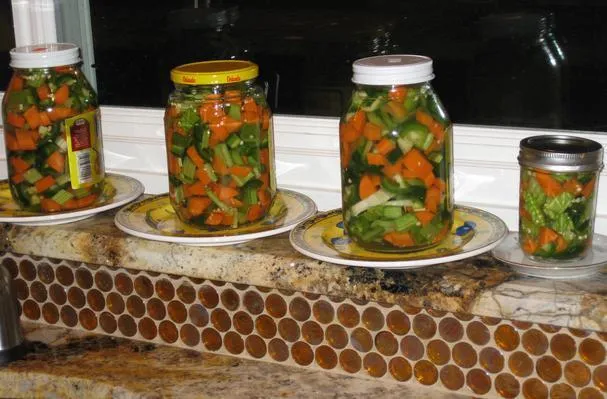 Gemischte Pickles - مخلل، كبيس