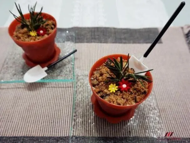 Gesalzener Karamell-Blumenpotten-Eistraum