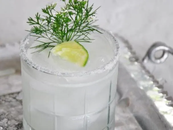 Der perfekte Margarita