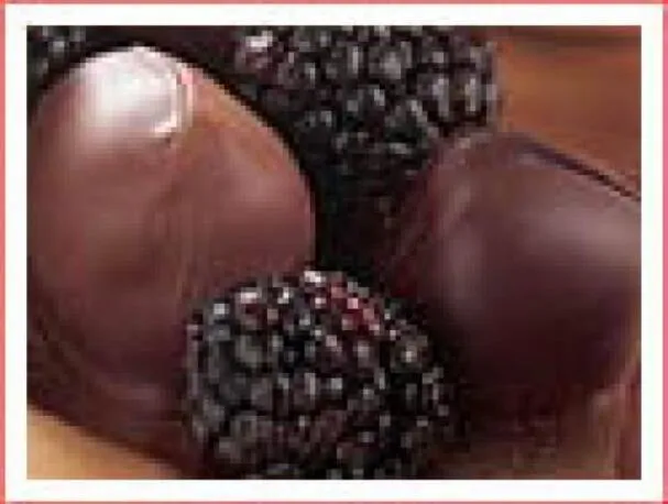 Xocai Bitterschokolade-überzogene Brombeeren